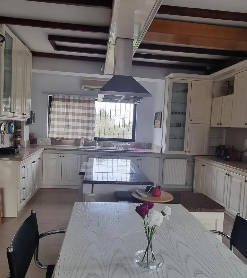 Villa In Trilofos-Close To The Beach Thessaloniki